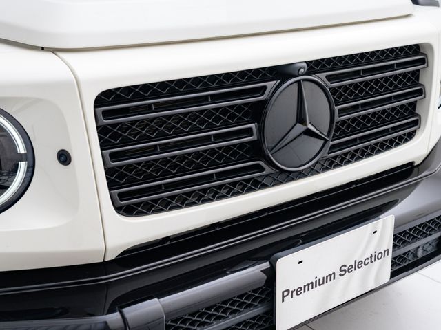 MERCEDES BENZ G CLAS 2020 Image 31