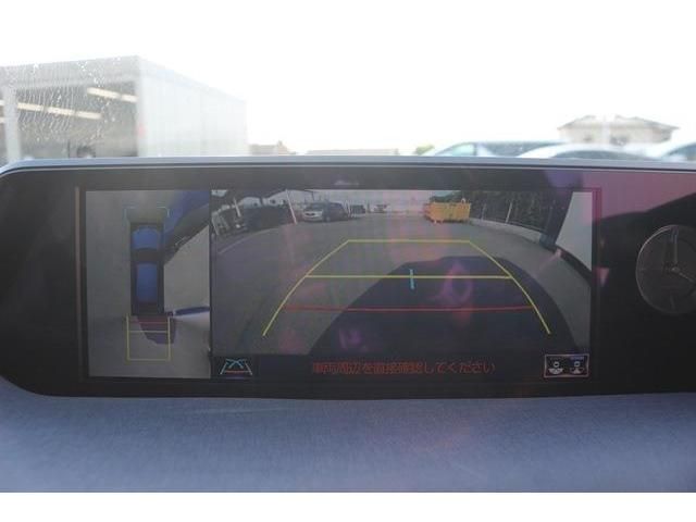 TOYOTA LEXUS UX250H AWD 2019 Image 31