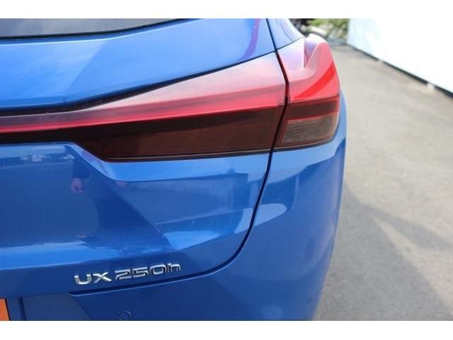 TOYOTA LEXUS UX250H AWD 2019 Image 31