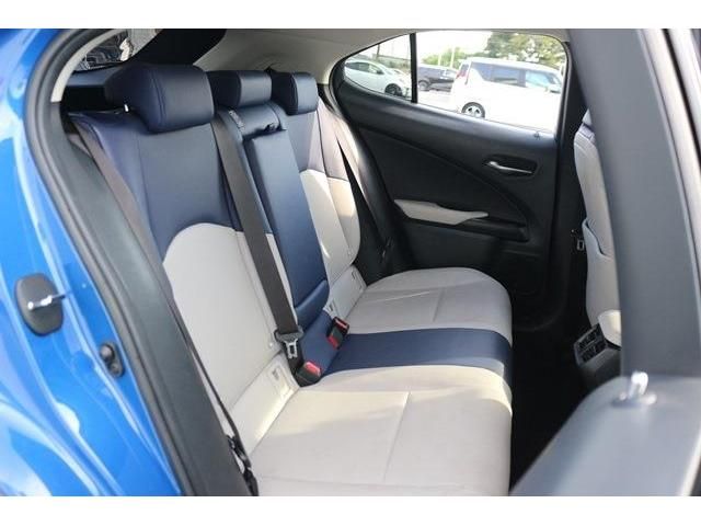 TOYOTA LEXUS UX250H AWD 2019 Image 31