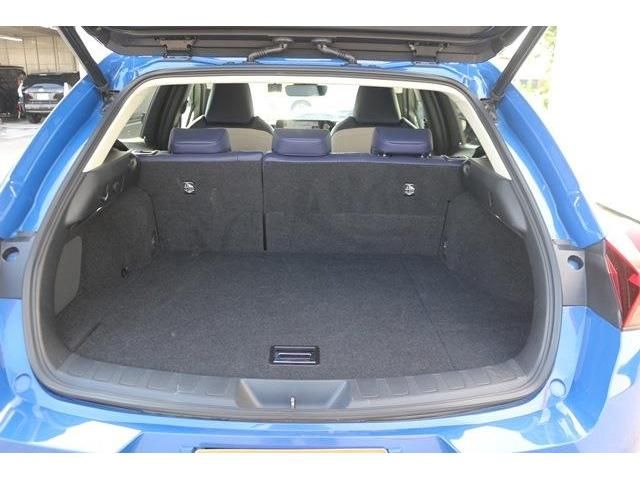 TOYOTA LEXUS UX250H AWD 2019 Image 31