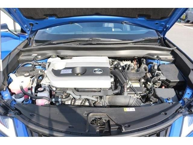 TOYOTA LEXUS UX250H AWD 2019 Image 31