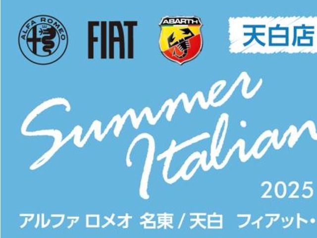 FIAT 500 2012 Image 31