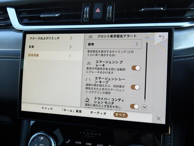 JAGUAR F-PACE 2024 Image 31