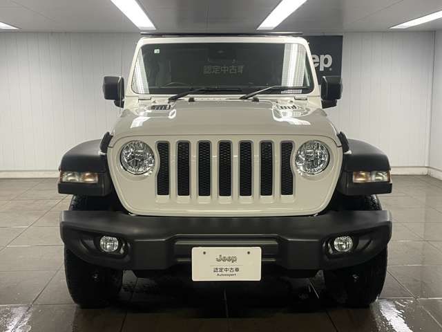 JEEP WRANGLER UNLIMI 2020 Image 31