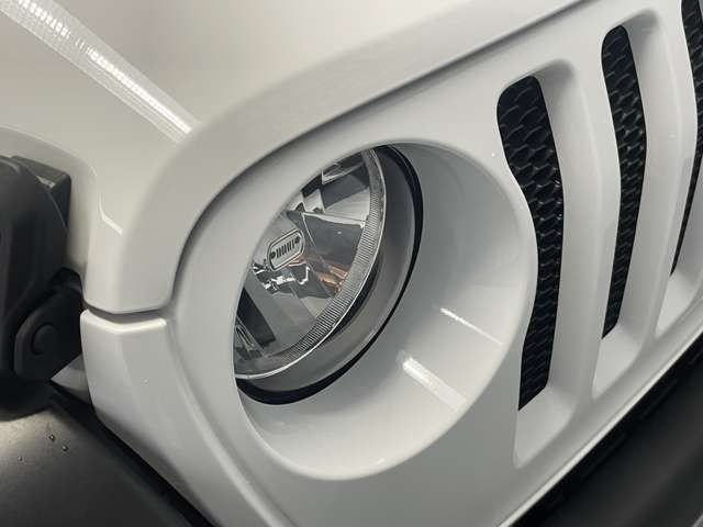 JEEP WRANGLER UNLIMI 2020 Image 31