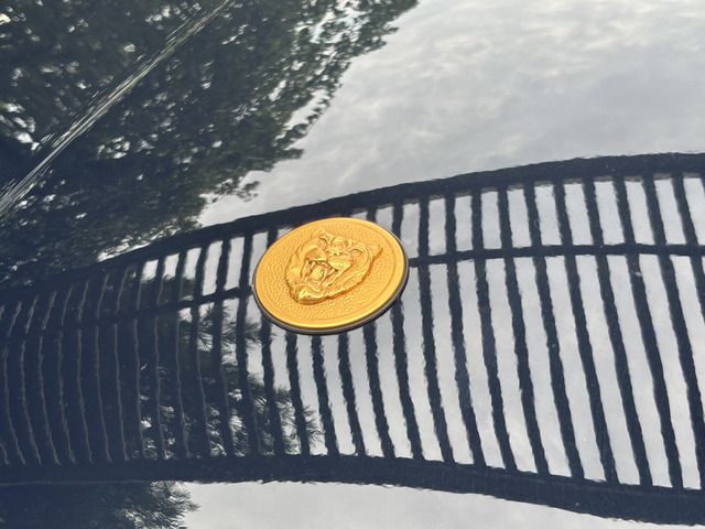 JAGUAR XJSERIES COUP 1995 Image 31