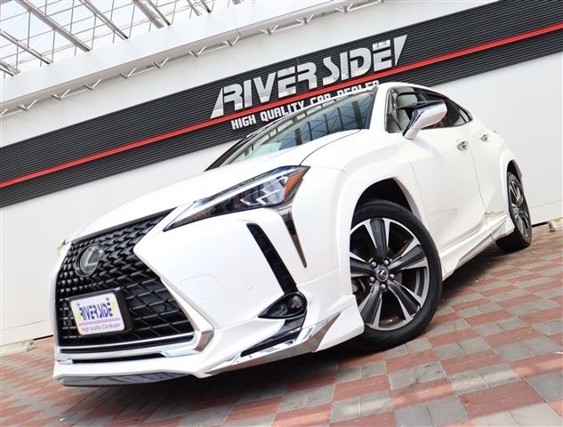 TOYOTA LEXUS UX200 2019 Image 31