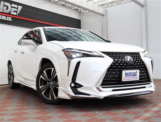 TOYOTA LEXUS UX200 2019 Image 31