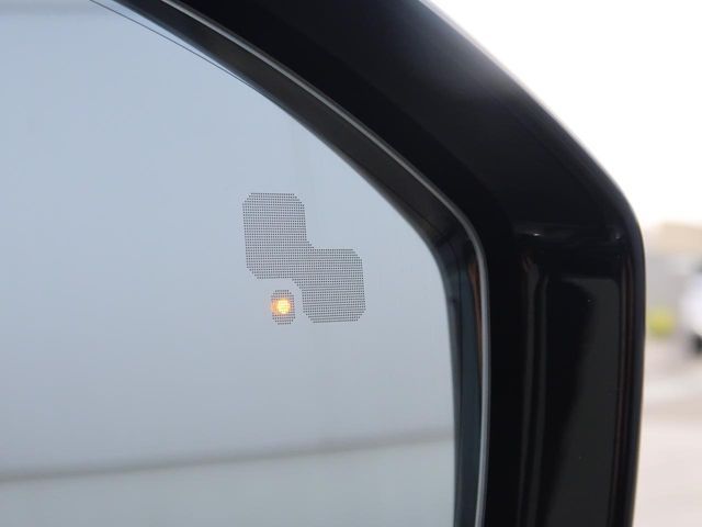 ROVER RANGE  EV 2024 Image 31