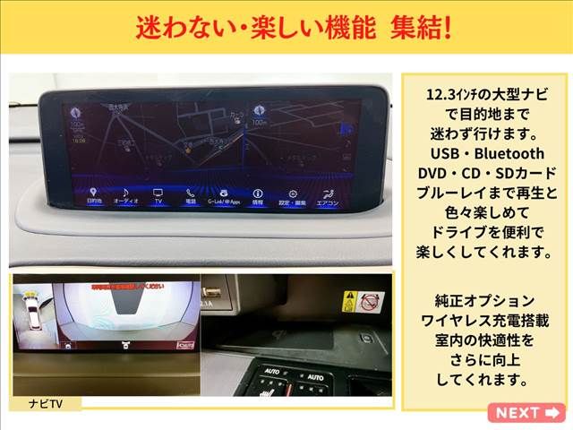 TOYOTA LEXUS RX450H AWD 2020 Image 31