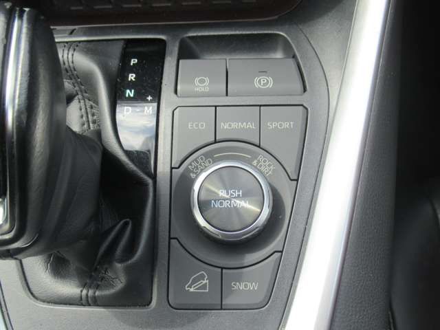 TOYOTA RAV4 4WD 2020 Image 31