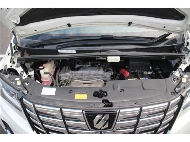 TOYOTA ALPHARD 2015 Image 31