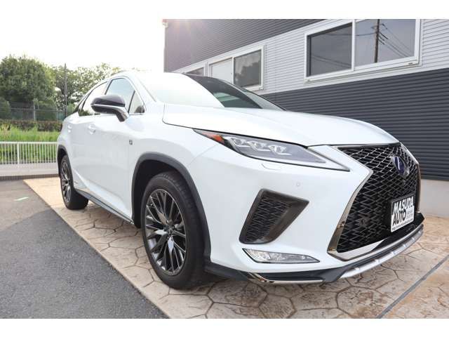 TOYOTA LEXUS RX450H AWD 2022 Image 31