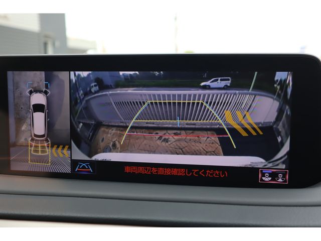 TOYOTA LEXUS RX450H AWD 2022 Image 31