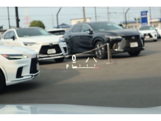 TOYOTA LEXUS RX450H AWD 2022 Image 31