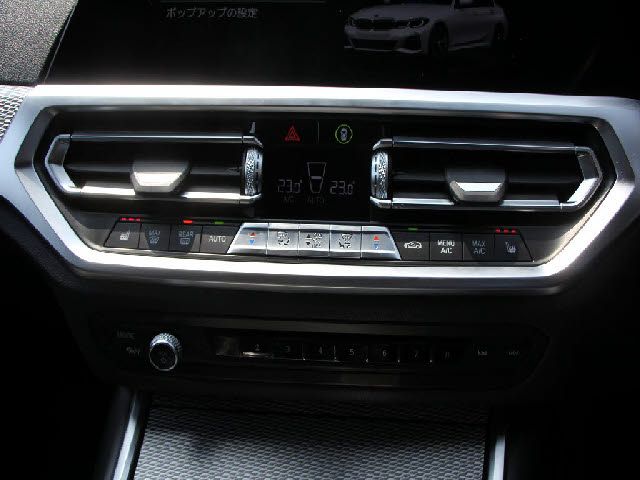 BMW 3SERIES SEDAN 2019 Image 31