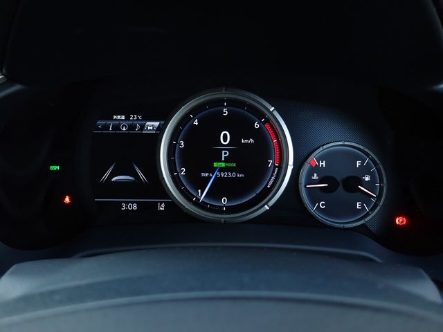 TOYOTA LEXUS RX300 2020 Image 31