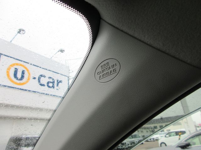 TOYOTA COROLLA FIELDER 4WD 2018 Image 31