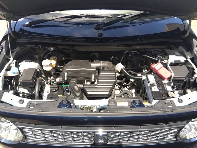 SUZUKI ALTO LAPIN 2019 Image 31