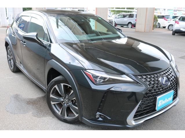 TOYOTA LEXUS UX250H 2018 Image 31