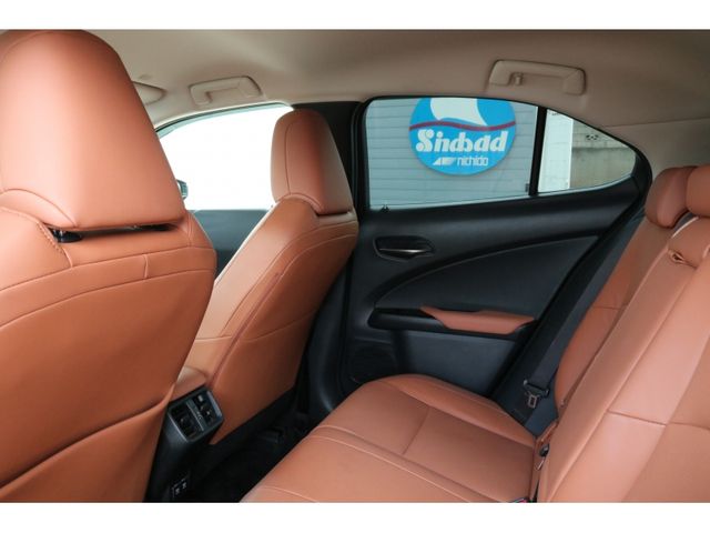 TOYOTA LEXUS UX250H 2018 Image 31