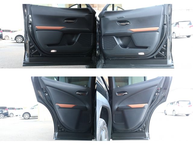 TOYOTA LEXUS UX250H 2018 Image 31