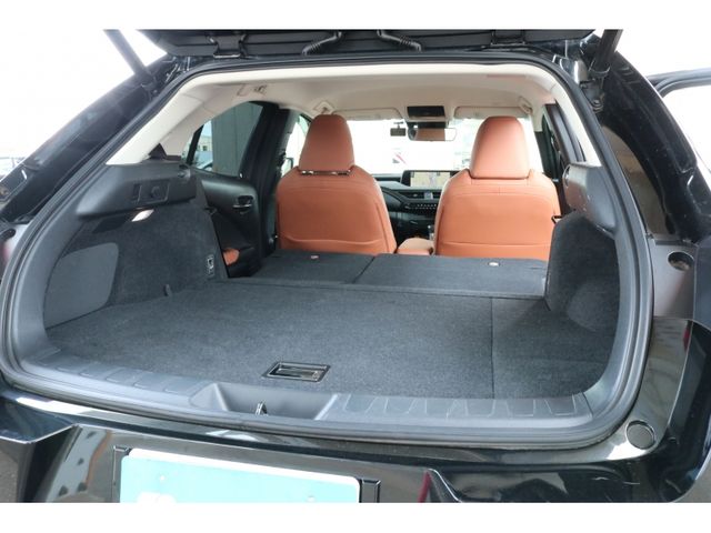 TOYOTA LEXUS UX250H 2018 Image 31