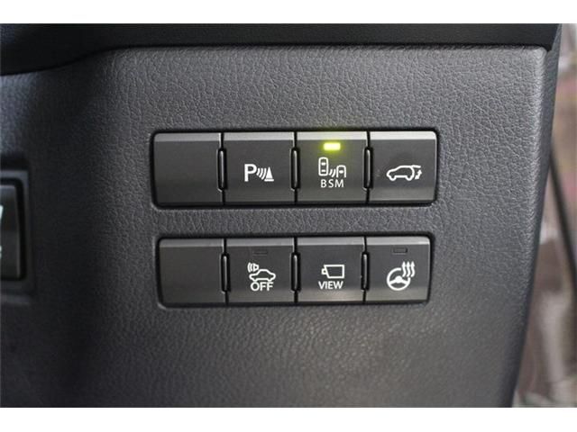 TOYOTA LEXUS NX300H AWD 2014 Image 31