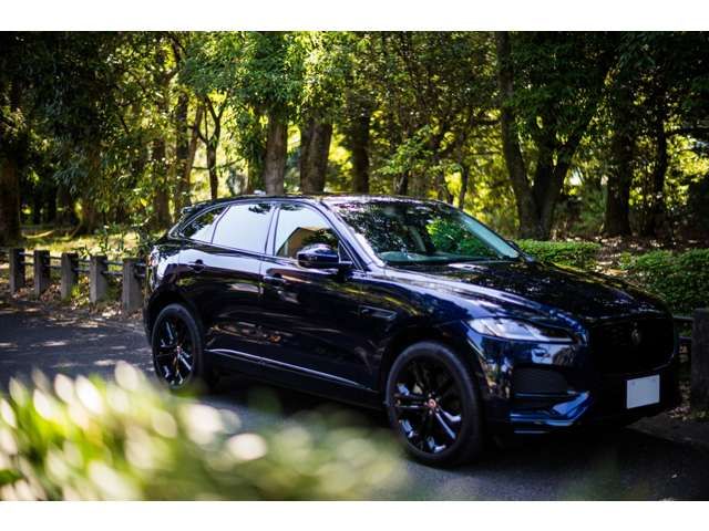 JAGUAR F-PACE 2023 Image 31