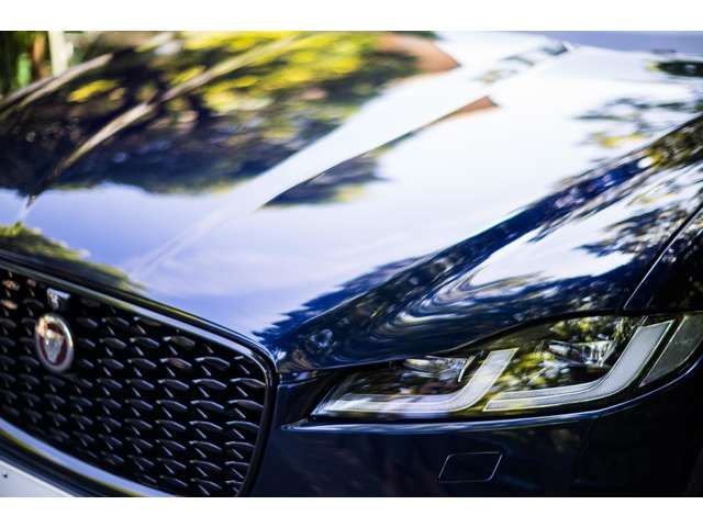 JAGUAR F-PACE 2023 Image 31