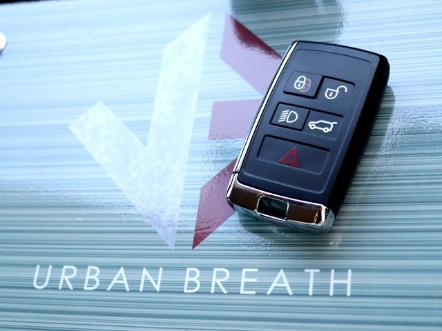 ROVER RANGE  EV 2019 Image 31