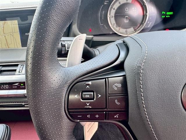 TOYOTA LEXUS LC500H 2021 Image 31