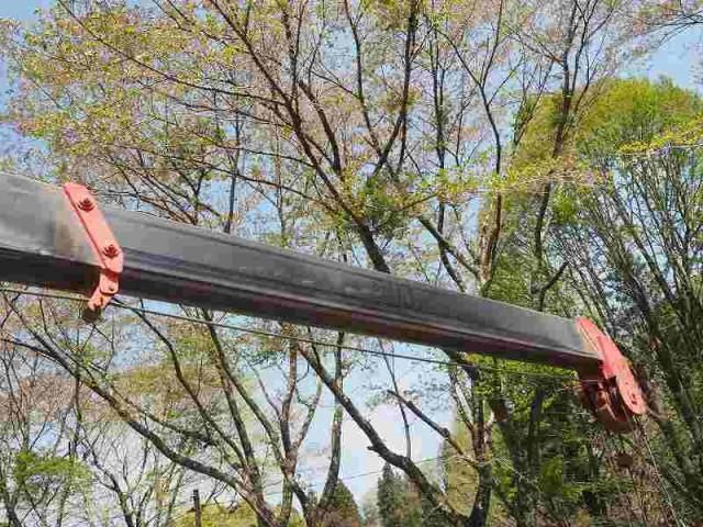 ISUZU FORWARD 2006 Image 31