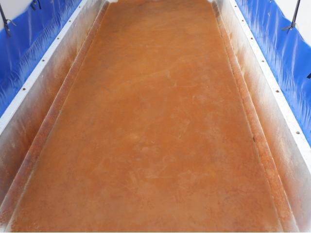 HINO PROFIA 2019 Image 31