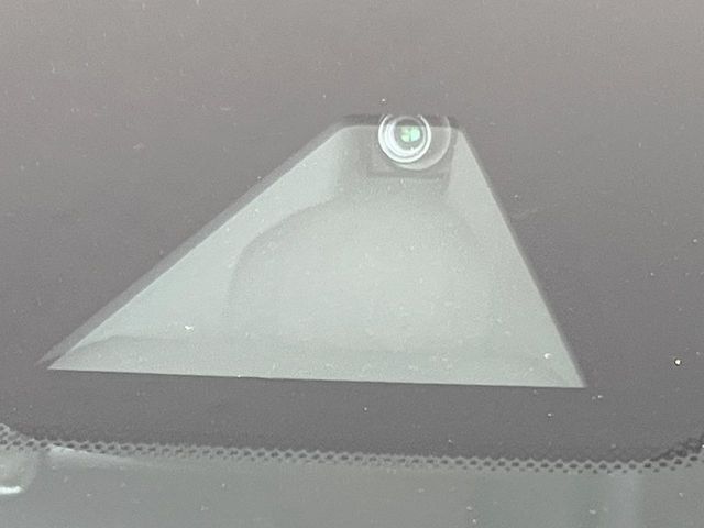 NISSAN ELGRAND 2019 Image 31