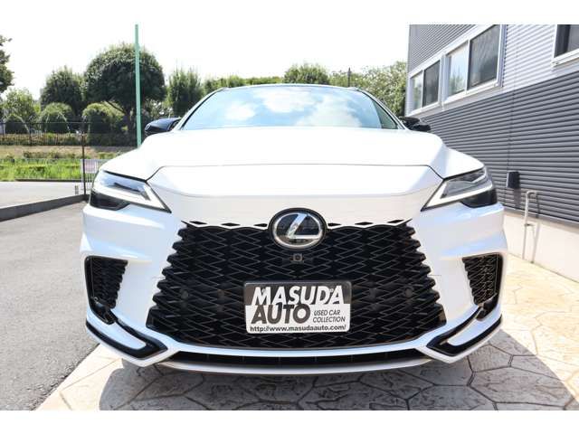 TOYOTA LEXUS RX500H 2023 Image 31