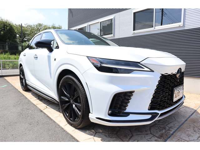 TOYOTA LEXUS RX500H 2023 Image 31