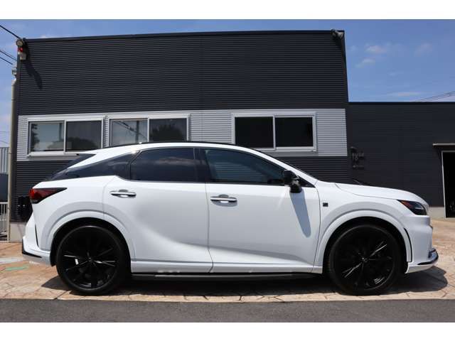 TOYOTA LEXUS RX500H 2023 Image 31