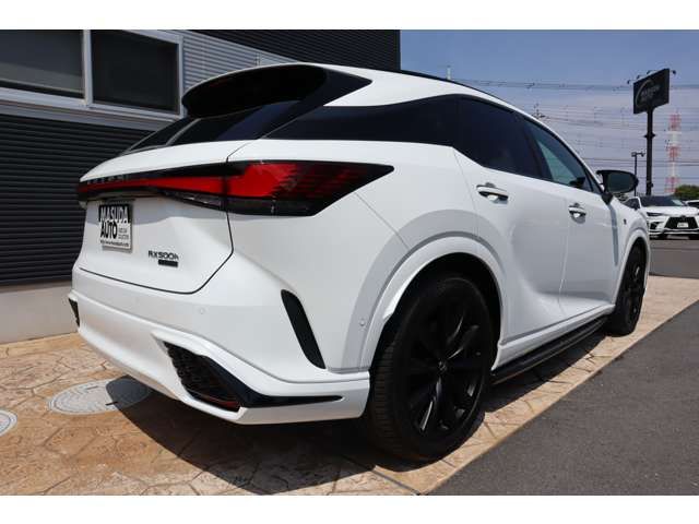 TOYOTA LEXUS RX500H 2023 Image 31