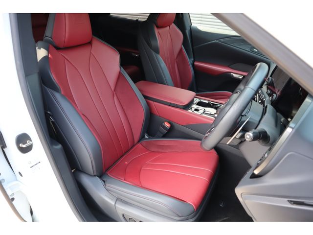 TOYOTA LEXUS RX500H 2023 Image 31