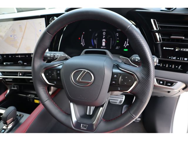 TOYOTA LEXUS RX500H 2023 Image 31