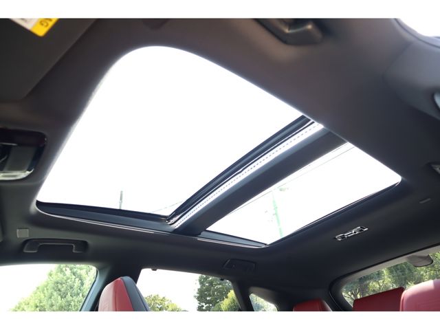 TOYOTA LEXUS RX500H 2023 Image 31