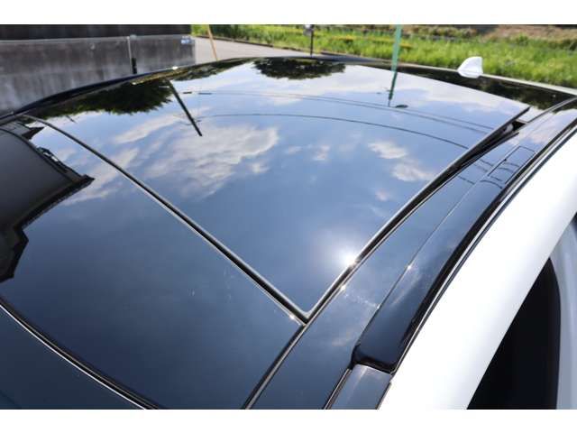 TOYOTA LEXUS RX500H 2023 Image 31