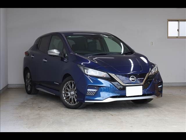 NISSAN LEAF 2020 Image 31