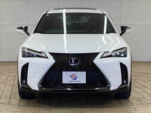 TOYOTA LEXUS UX250H 2018 Image 31