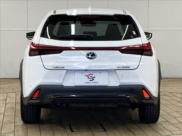 TOYOTA LEXUS UX250H 2018 Image 31