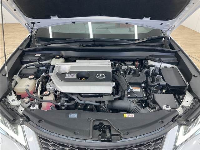 TOYOTA LEXUS UX250H 2018 Image 31