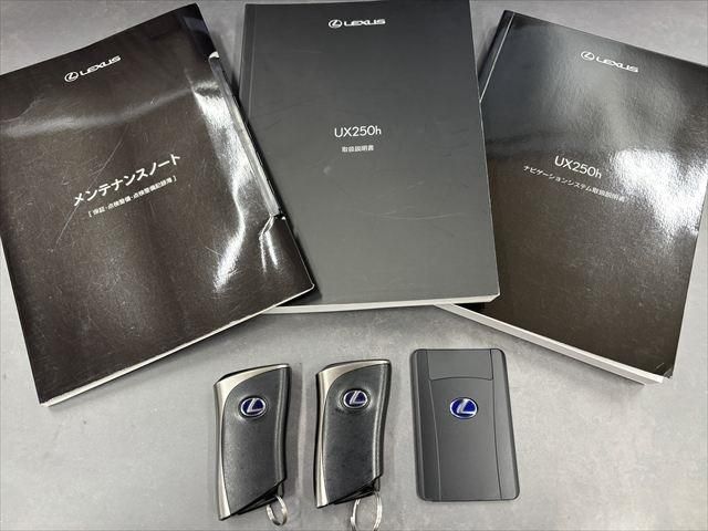 TOYOTA LEXUS UX250H 2020 Image 31