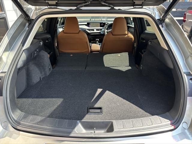 TOYOTA LEXUS UX250H 2020 Image 31